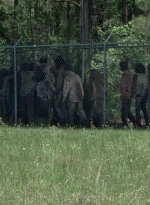 twd0802-0501.jpg