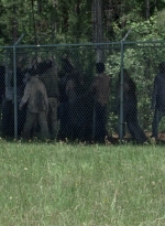 twd0802-0505.jpg