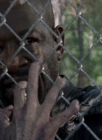 twd0802-0510.jpg