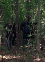 twd0802-1380.jpg