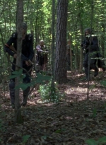 twd0802-2131.jpg