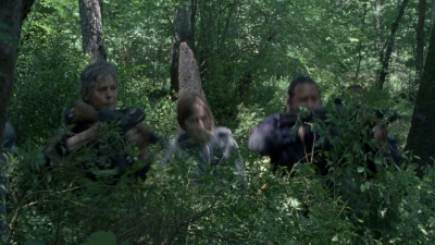 twd0803-0114.jpg