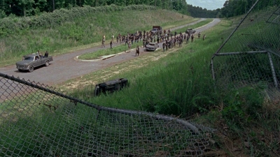 twd0803-1072.jpg