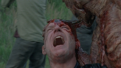 twd0803-1139.jpg