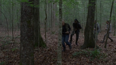 twd0803-1151.jpg