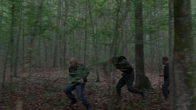 twd0803-1154.jpg