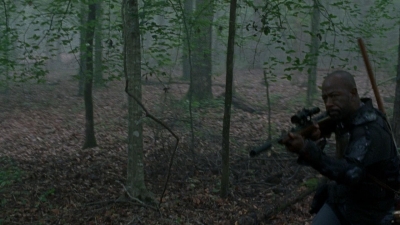 twd0803-1159.jpg