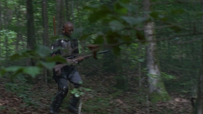 twd0803-1167.jpg
