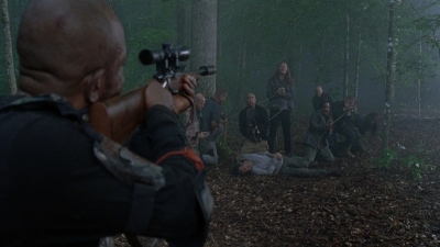 twd0803-1175.jpg