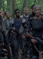 twd0803-0096.jpg