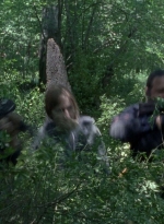 twd0803-0114.jpg