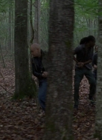 twd0803-1152.jpg