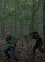 twd0803-1154.jpg