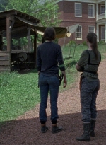 twd0803-1800.jpg