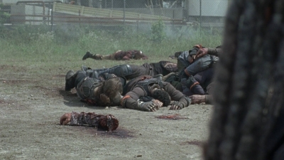 twd0804-0504.jpg