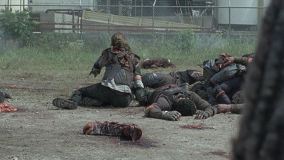 twd0804-0513.jpg