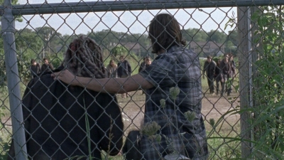 twd0804-1126.jpg