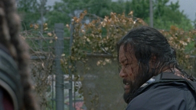 twd0804-1387.jpg