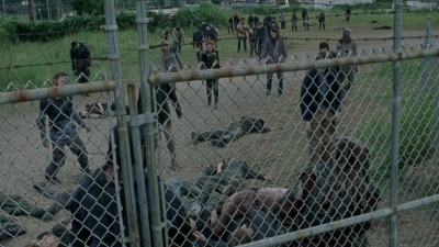 twd0804-1794.jpg