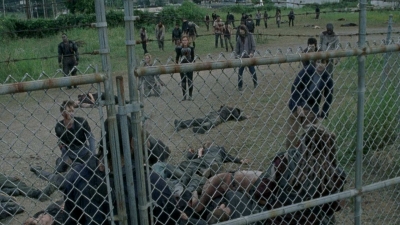 twd0804-1795.jpg