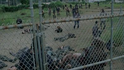 twd0804-1796.jpg