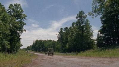 twd0804-1995.jpg