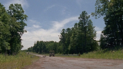 twd0804-1996.jpg