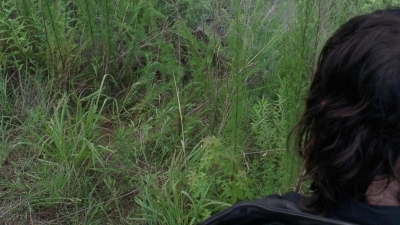 twd0804-2037.jpg