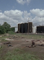 twd0804-0493.jpg