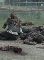 twd0804-0513.jpg