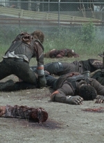 twd0804-0515.jpg