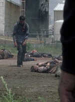 twd0804-0564.jpg