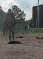 twd0804-0608.jpg