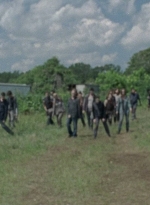 twd0804-0908.jpg