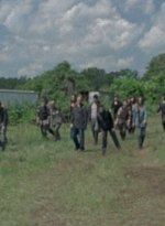 twd0804-0910.jpg