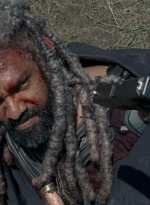 twd0804-0965.jpg