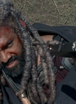 twd0804-0967.jpg