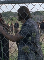 twd0804-1125.jpg