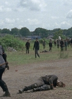 twd0804-1371.jpg