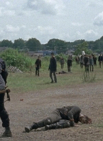 twd0804-1372.jpg