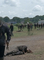 twd0804-1375.jpg