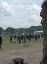 twd0804-1377.jpg