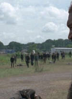 twd0804-1378.jpg