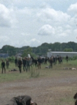 twd0804-1380.jpg