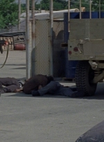 twd0804-1586.jpg