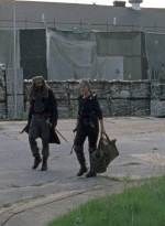 twd0804-1617.jpg