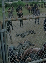 twd0804-1794.jpg