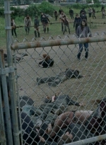 twd0804-1796.jpg