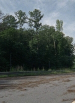 twd0804-1855.jpg