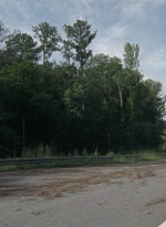 twd0804-1865.jpg